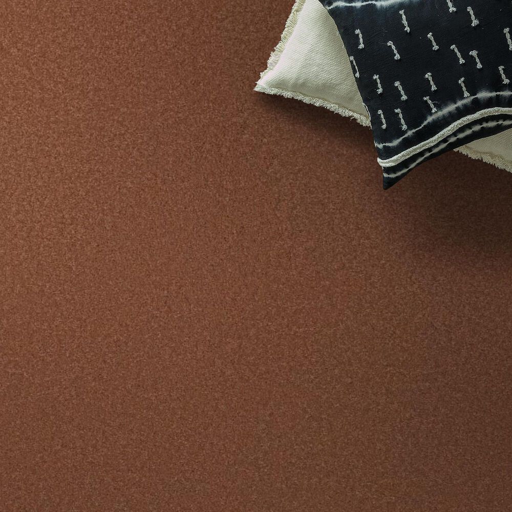 Anderson Tuftex Elegant Beauty Carpet in Clay, , large