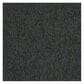 Shaw Multiplicity Carpet in Plentiful, , large