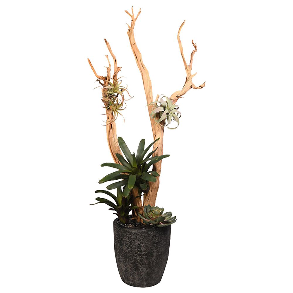 DandW Silks 7" Ghostwood with Tillandsia, Pineapple and Echeveria Planter in Black, , large