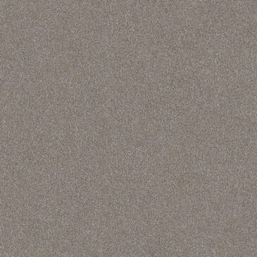 Shaw Go After It I Carpet in Spinning Wheel, , large