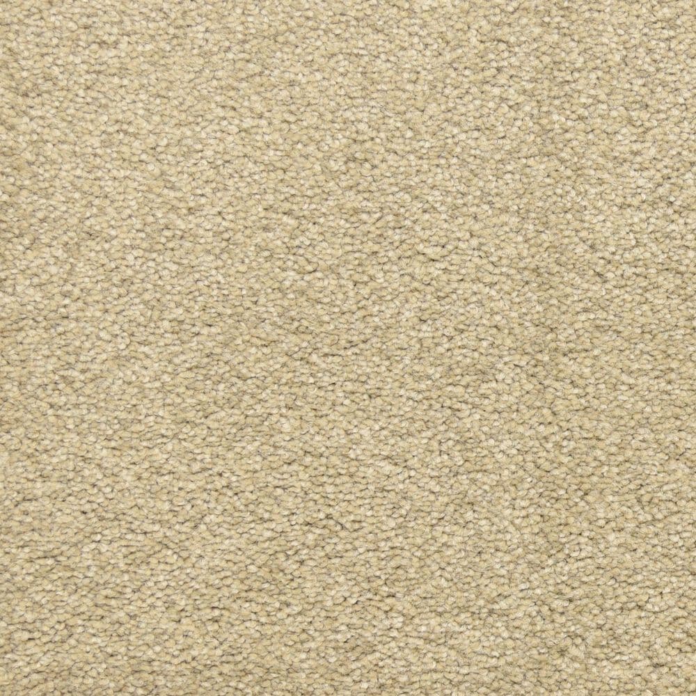 Dixie Home Debut Carpet in Driftwood, , large