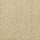 Dixie Home Debut Carpet in Driftwood, , large