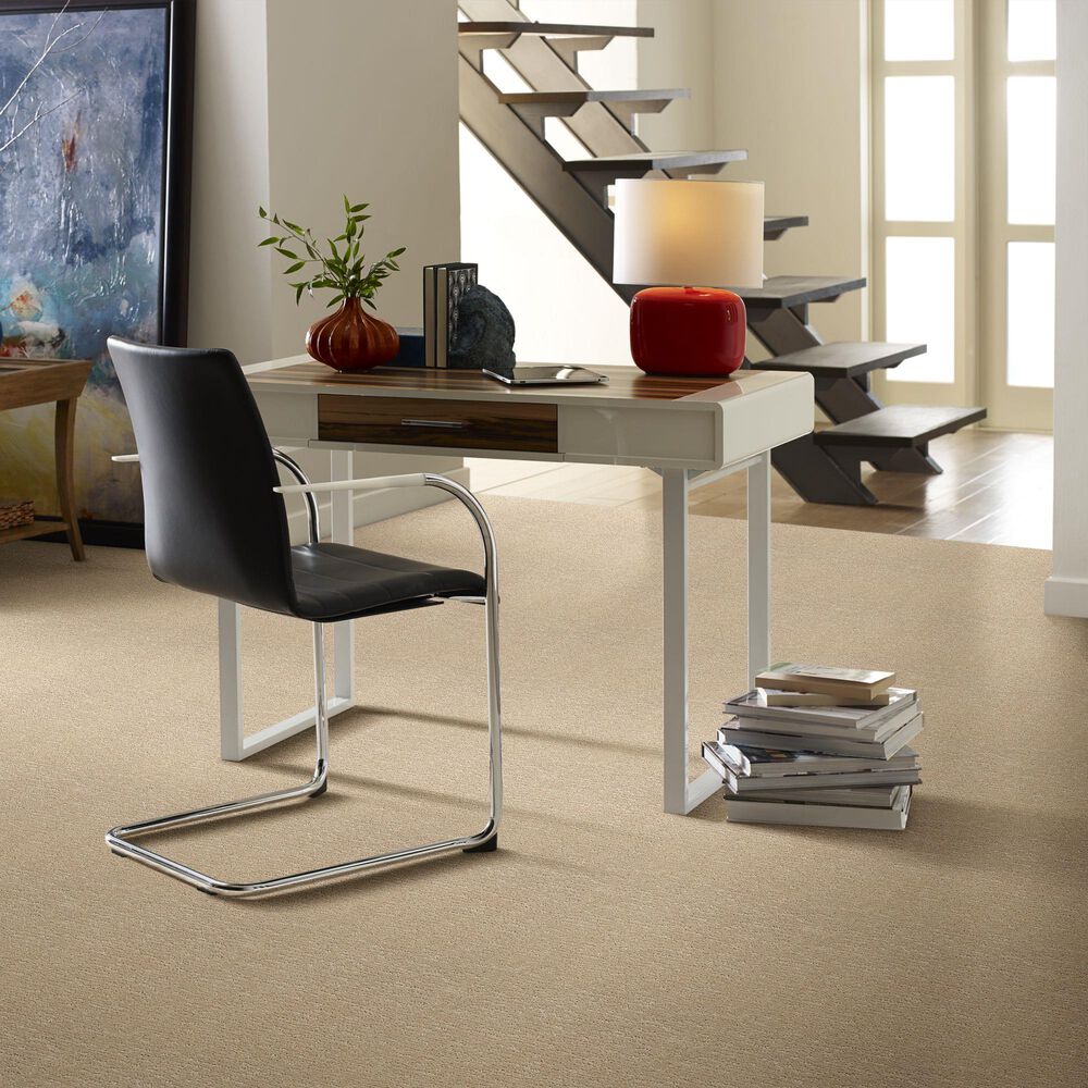 Anderson Tuftex Contour Carpet in Oak Ridge, , large