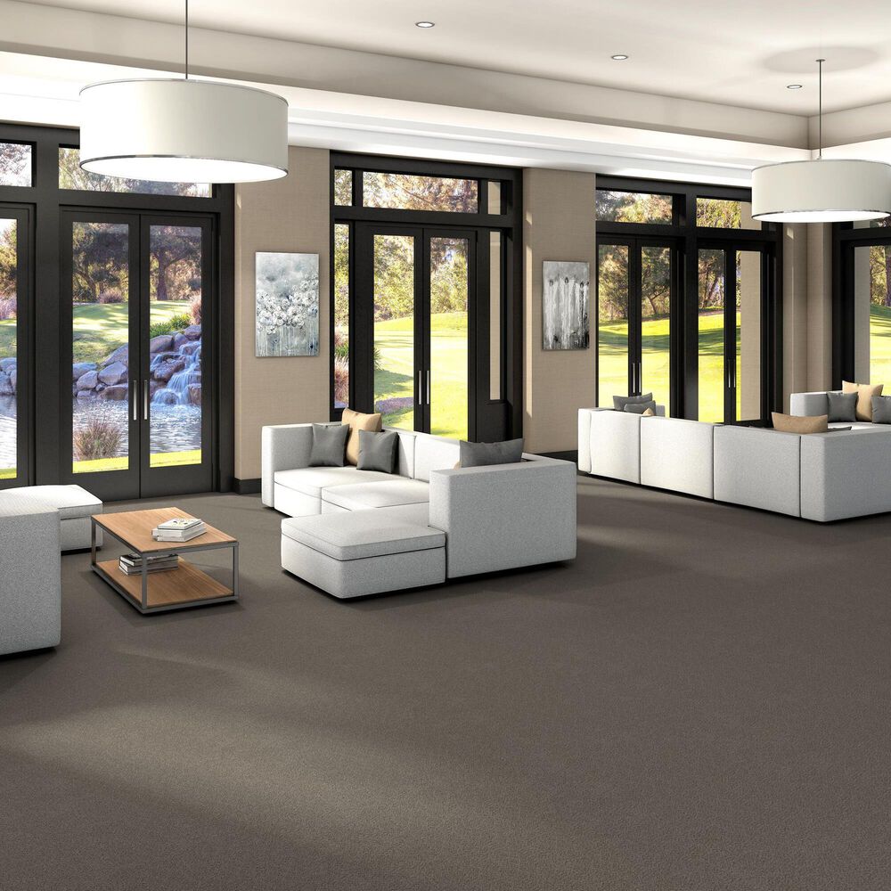 Shaw Trusplendor Carpet in Iron Works, , large
