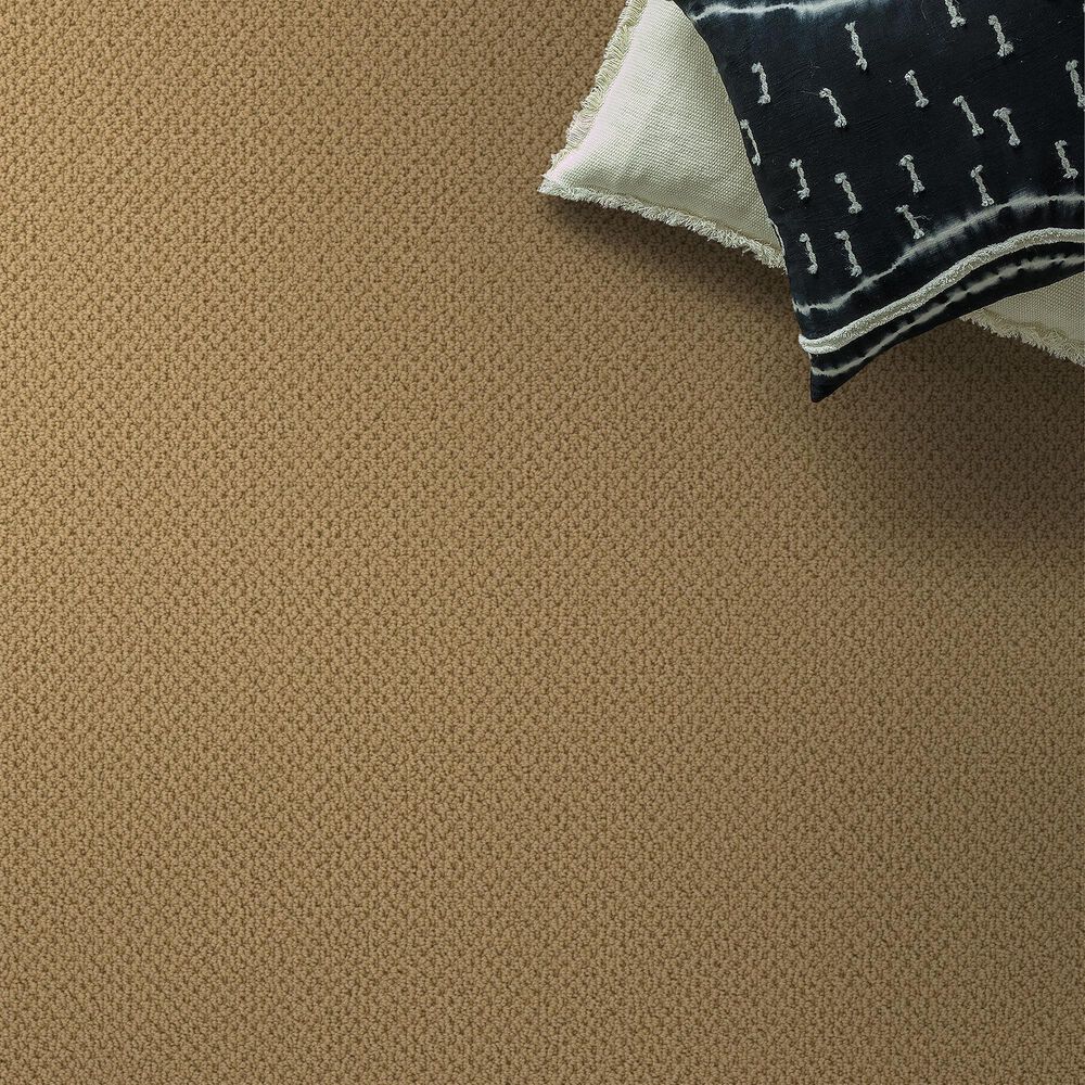 Anderson Tuftex Gracious Carpet in Summer, , large
