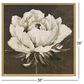 Paragon 38"Square Pretty Bloom Wall Art in White, , large