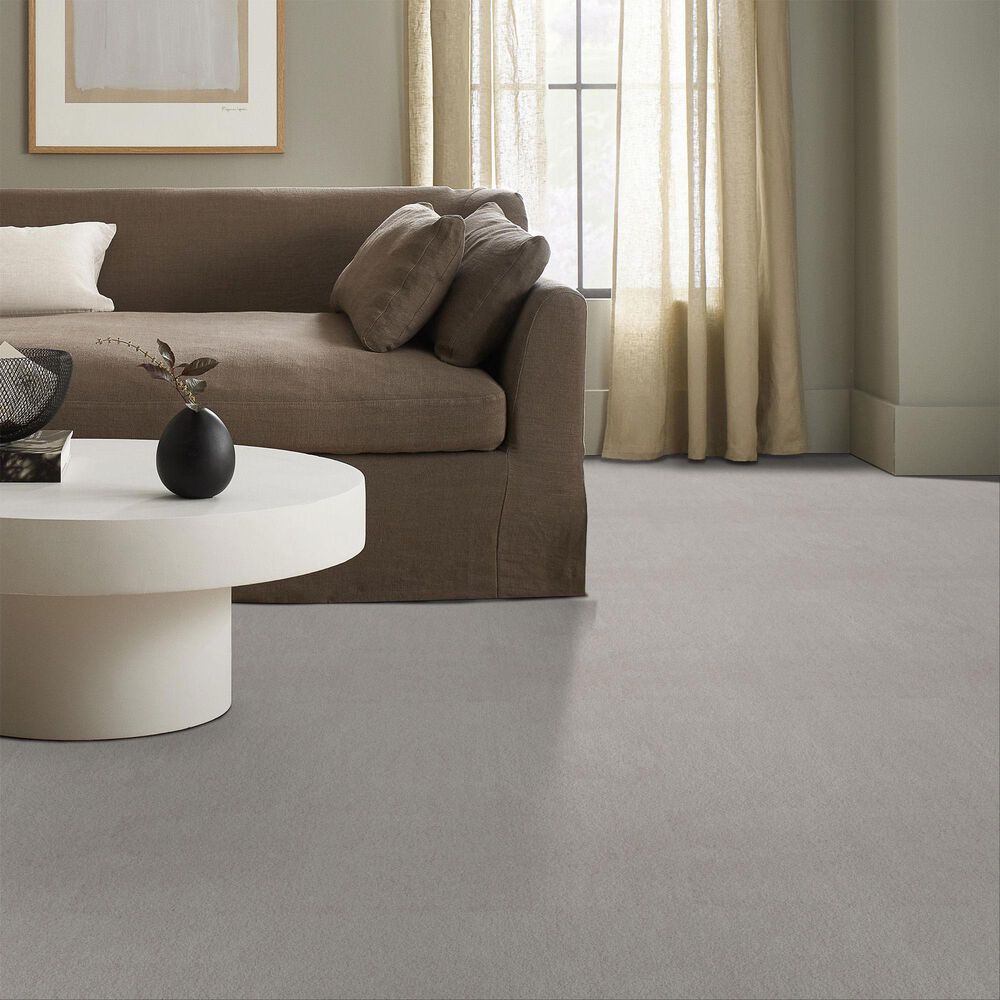 Anderson Tuftex Luxe Feel II Carpet in Silver Lining, , large