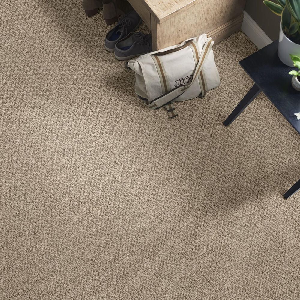 Anderson Tuftex Cabo Cove Carpet in Latte, , large