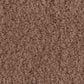Anderson Tuftex Luxe Feel I Carpet in Sugar Maple, , large