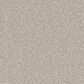 Dream Weaver Cape Cod Carpet in Silver Lining, , large