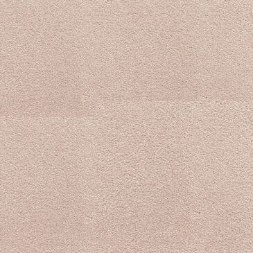 Dixie Home Neverland Carpet in Highlands, , large