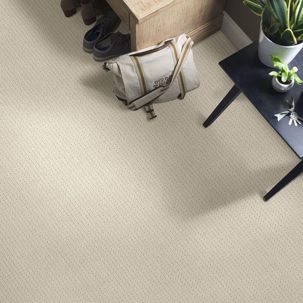 Anderson Tuftex San Lucas Carpet in Fleece, , large