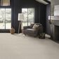 Anderson Tuftex Lumen Carpet in Halide, , large