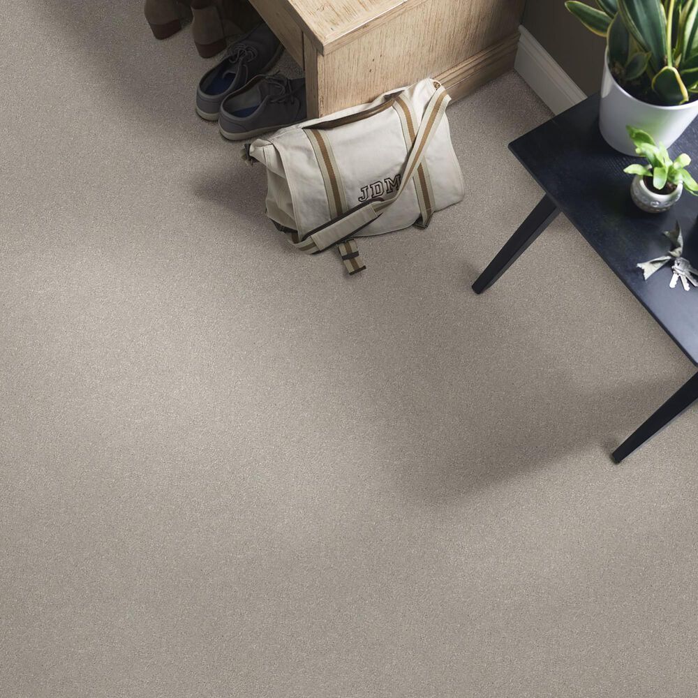 Shaw Well Grounded III 15&#39; Carpet in Greige, , large