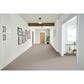 Phenix Naples Carpet in Coastline, , large