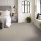 Shaw Block Party Carpet in River Birch, , large