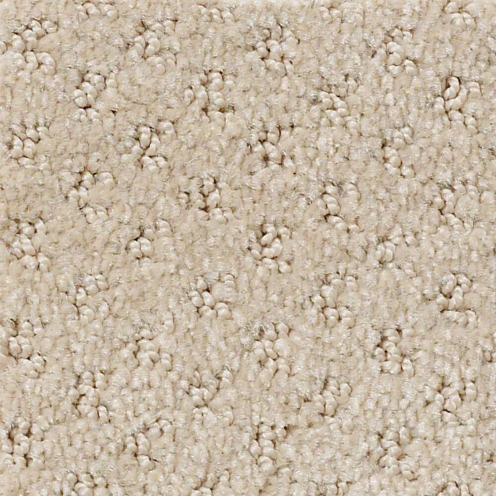 Anderson Tuftex West Fork Carpet in Terrazo, , large