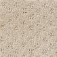 Anderson Tuftex West Fork Carpet in Terrazo, , large