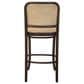 Timeless Designs Cleveland Counter Stool in Brown, , large