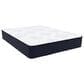 Southerland Silverthorne Firm Queen Mattress, , large
