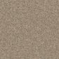 Godfrey-Hirst Candor Carpet in Balsam, , large
