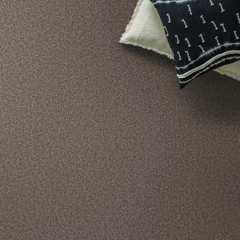 Anderson Tuftex Avalon Bay Carpet in Ottertail, , large