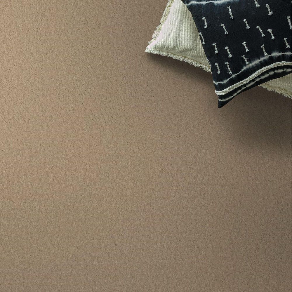 Anderson Tuftex Enchanting Carpet in Transparent, , large