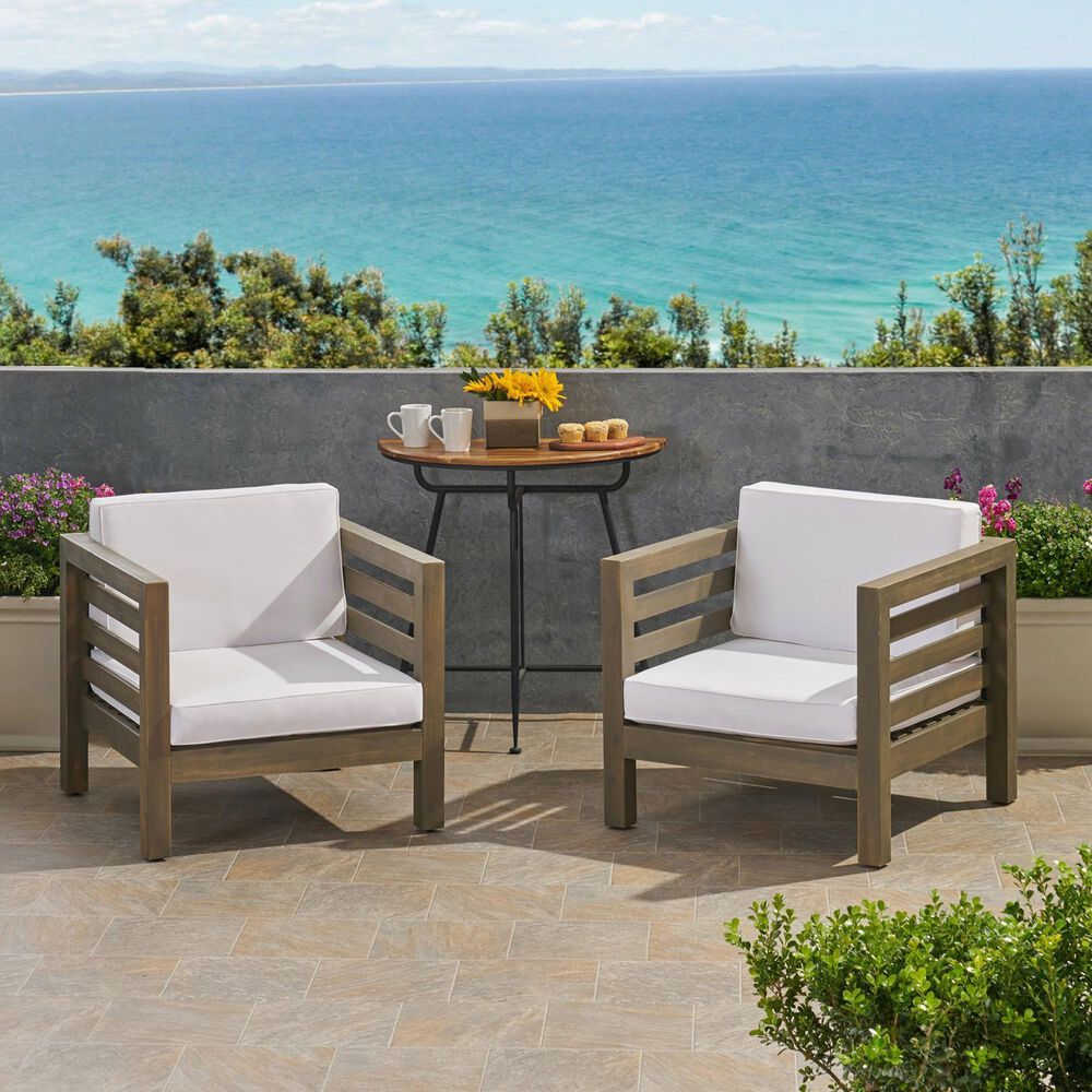 Noble House Oana Patio Club Chair in White (Set of 2) | NFM