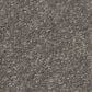 Shaw Hard At Play II Carpet in Ashes, , large