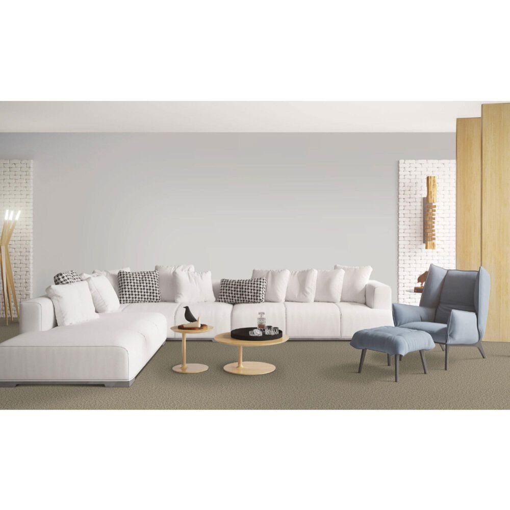 Dixie Home Main Force Carpet in Pebble, , large