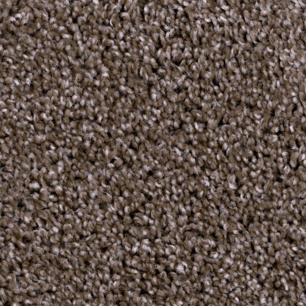 Phenix Carpet Essential 15' Carpet Remnant in Foremost, , large