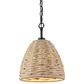 Golden Lighting Hathaway Mini Pendant in Matte Black, , large