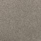 Mohawk Luxuriant Life Carpet in Dock, , large
