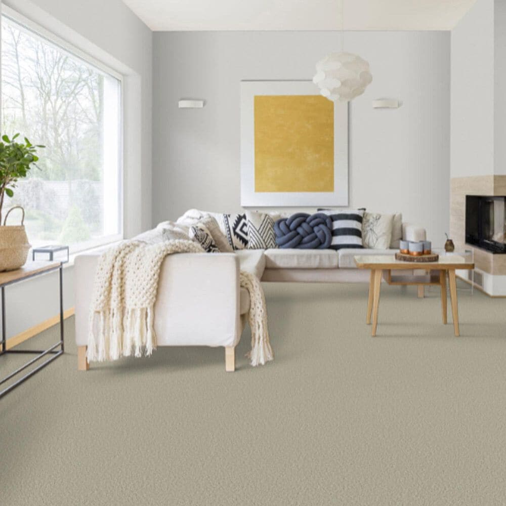 Dixie Home Riverbend Carpet in Sandstone, , large