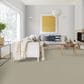 Dixie Home Riverbend Carpet in Sandstone, , large