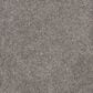 Dream Weaver Rustic Retreat I Carpet in Dried Sage, , large