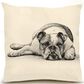 Eric & Christopher Bulldog 2 20" x 20" Throw Pillow in Natural, , large