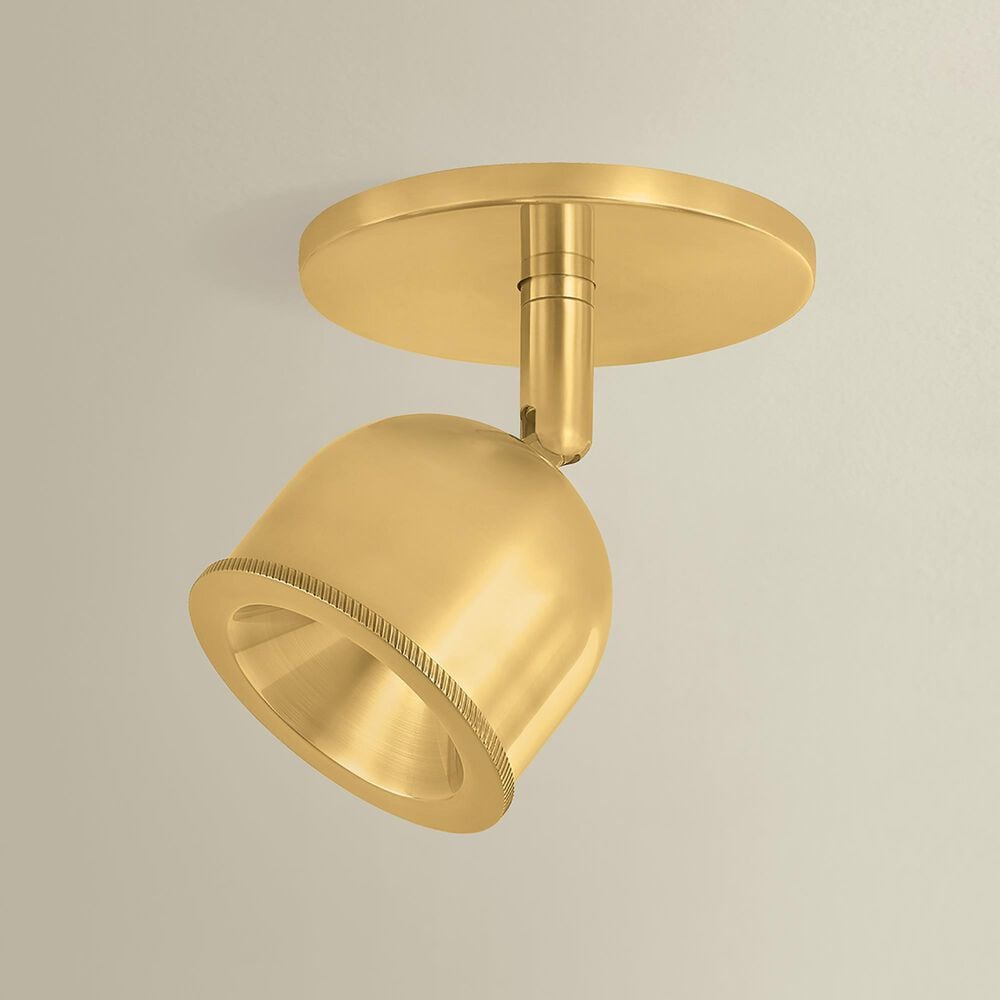 Hudson Valley Lighting Tuthill 1-Light Flush Mount in Aged Brass, , large