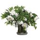Allstate Floral and Craft Inc 27" Rose/Peony/Branches in White, , large