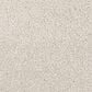 Dixie Home Big Splash Carpet in Cabana, , large