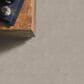 Philadelphia Delicate Feel I Carpet in Chic Taupe, , large