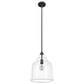 Hunter Dunshire 12" 1-Light Medium Pendant with Clear Shade in Noble Bronze, , large
