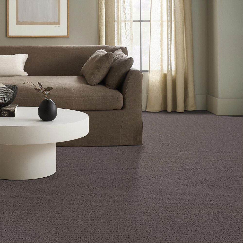 Anderson Tuftex Tangent Carpet in Walnut, , large