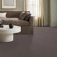Anderson Tuftex Tangent Carpet in Walnut, , large