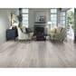Happy Feet International Freedom Washington 8" x 60" Luxury Vinyl Plank, , large