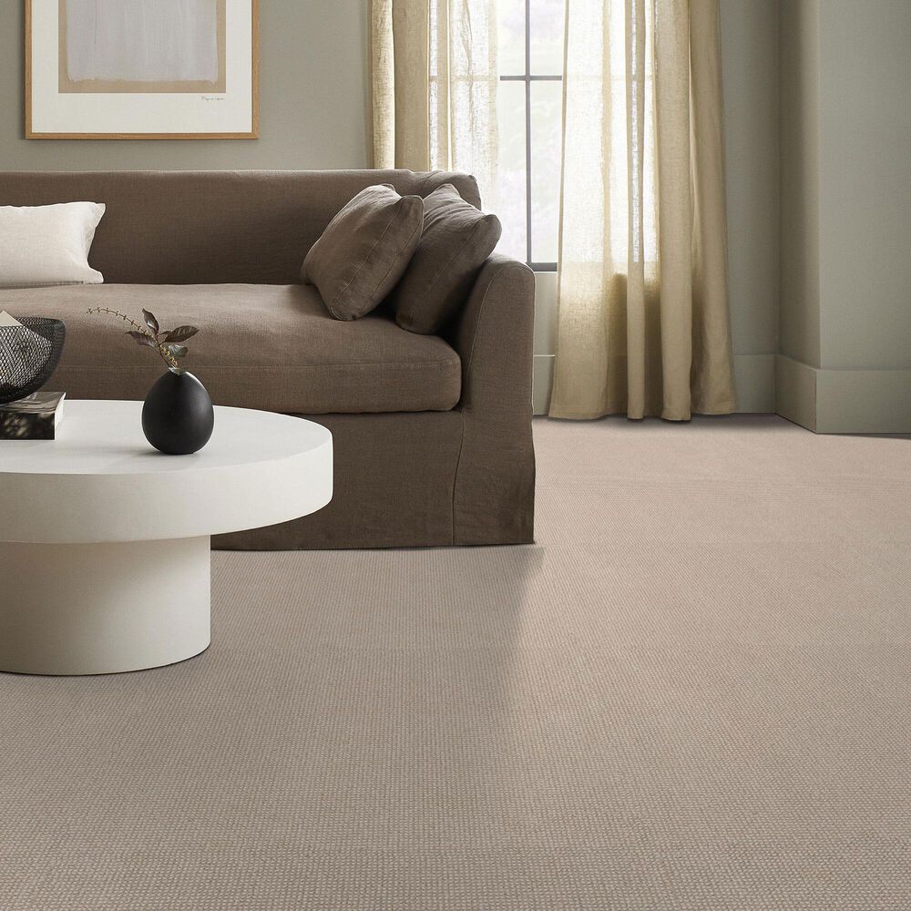 Anderson Tuftex Alluring Carpet in Basalt, , large