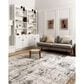 Loloi II Alchemy ALC-04 9"11" x 13"6" Silver and Graphite Area Rug, , large