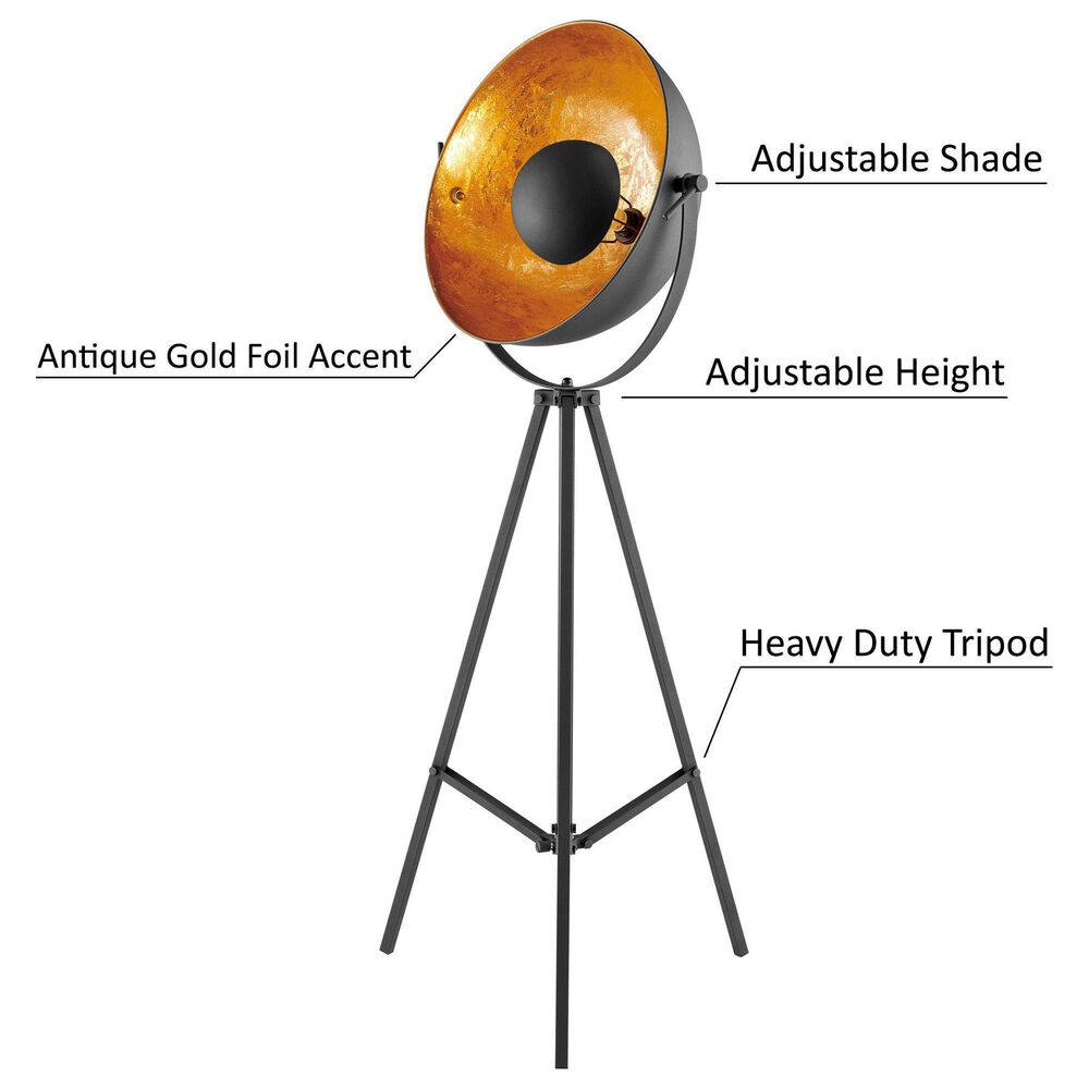 Lite Source Gothard Floor Lamp in Black and Aged Gold, , large