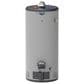 GE Appliances RealMAX Platinum 40-Gallon Short Liquid Propane Atmospheric Water Heater in Gray, , large