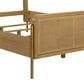 Pacific Landing Arini Queen Panel Bed in Brown, , large